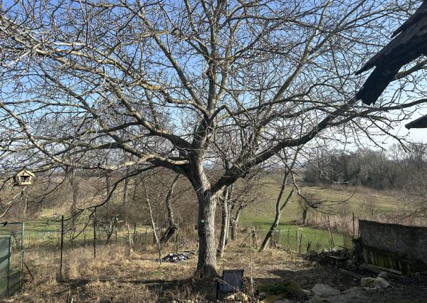 HOMreal.sk | REZERVOVANÝ